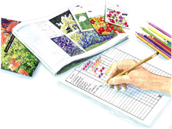 Garden planning, c1997, Susan A Berry